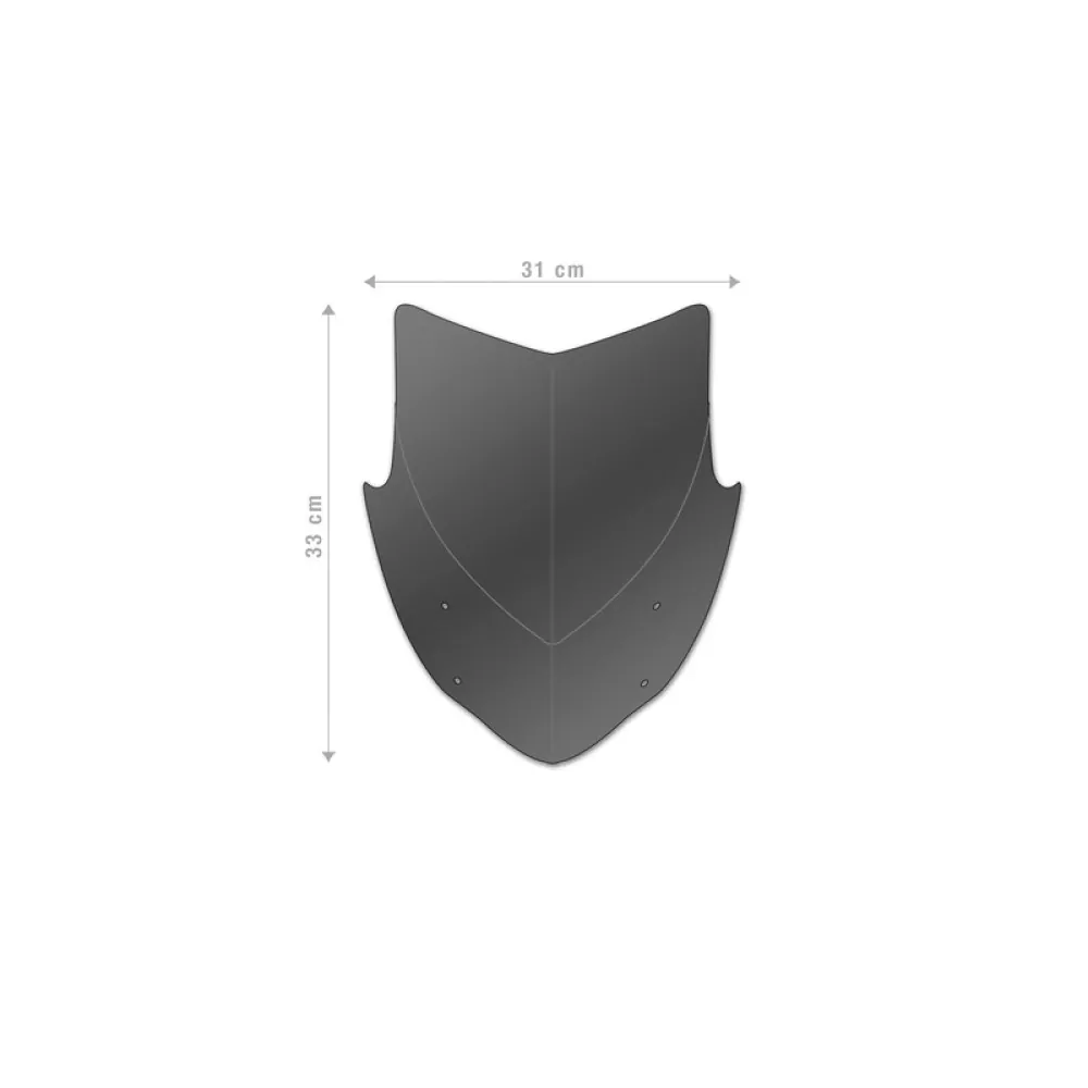 Barracuda Windschild Aerosport Plexiglas für Ducati Streetfighter V4 2020-