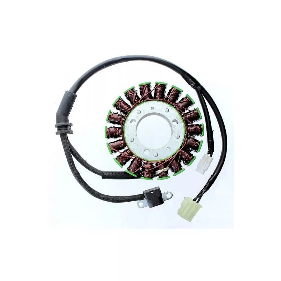 ElectroSport Stator ESG968 für Lichtmaschine