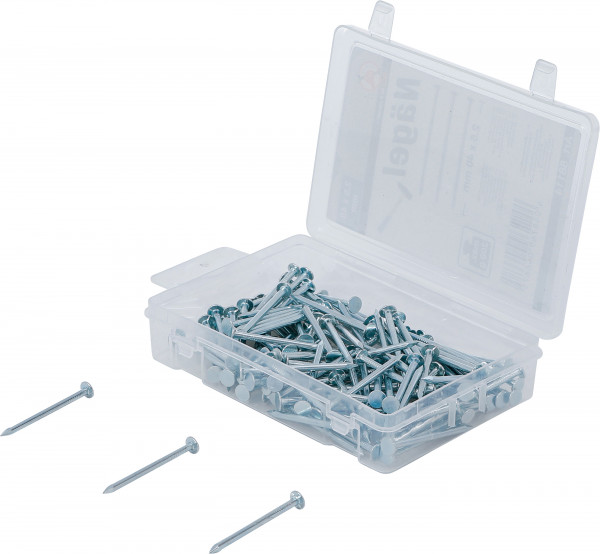 Nägel-Sortiment 2,5x40 mm 200 g im Sortimentskasten