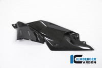 Ilmberger Carbon Seitendeckel unterm Tank links passend für BMW R1200R Ilmberger Carbon Seitendeckel unterm Tank links passend für BMW R1200R