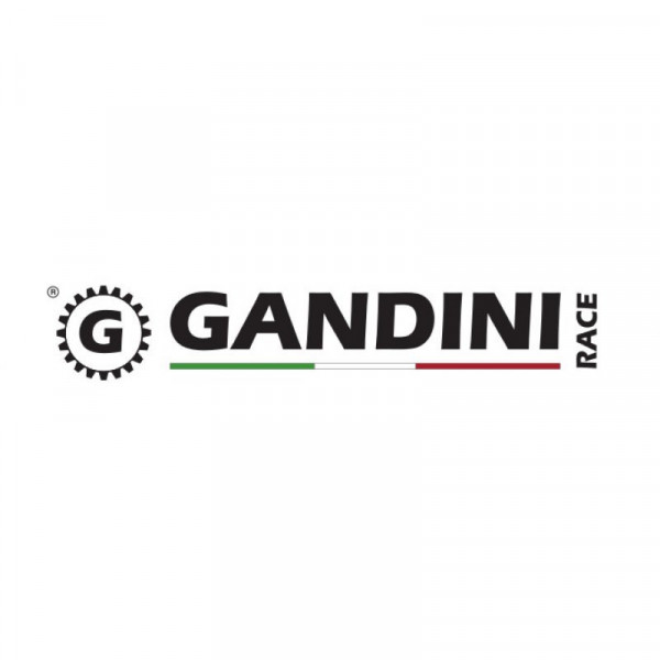 Gandini Racing 415 Ritzel für Kawasaki Ninja 300 / 400 / Z 300