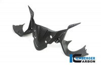 Ilmberger Carbon Instrumentenabdeckung matt passend für Ducati Panigale 1299 Ilmberger Carbon Instrumentenabdeckung matt passend für Ducati Panigale 1299