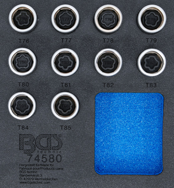 Werkstattwageneinlage 1/6: Felgenschloss-Werkzeug-Satz passend für Tesla – 10-tlg.