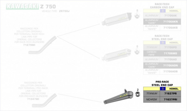 Arrow Pro-Race Endschalldämpfer passend für Kawasaki Z 750 S 05-06