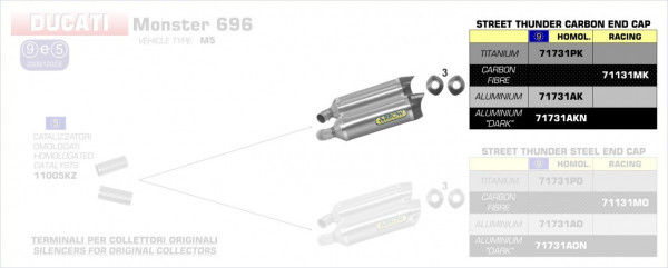 Arrow Thunder Carbon Endschalldämpfer passend für Ducati Monster 696/796/1100 (2008-2014)