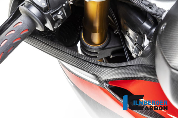 Ilmberger Carbon Windkanalabdeckung links matt für Ducati Panigale V4 / V4S ab 2018