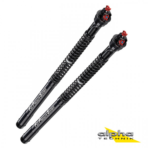 BITUBO Gabeldämpfer-Kit passend für Aprilia RSV4 und Tuono V4