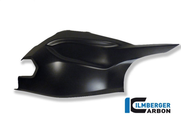 Ilmberger Carbon Schwingen- / Kettenschutz oben Carbon