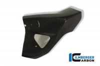 Ilmberger Carbon Wasserkühlerverkleidung links passend für BMW F800R Ilmberger Carbon Wasserkühlerverkleidung links passend für BMW F800R