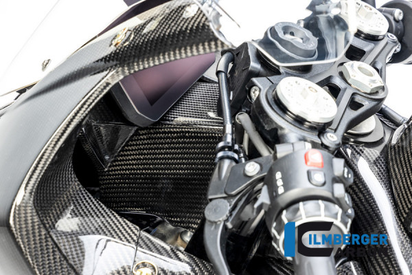 Ilmberger Carbon Instrumententräger / Verkleidungshalter für BMW S1000RR ab Modelljahr 2019- und M10