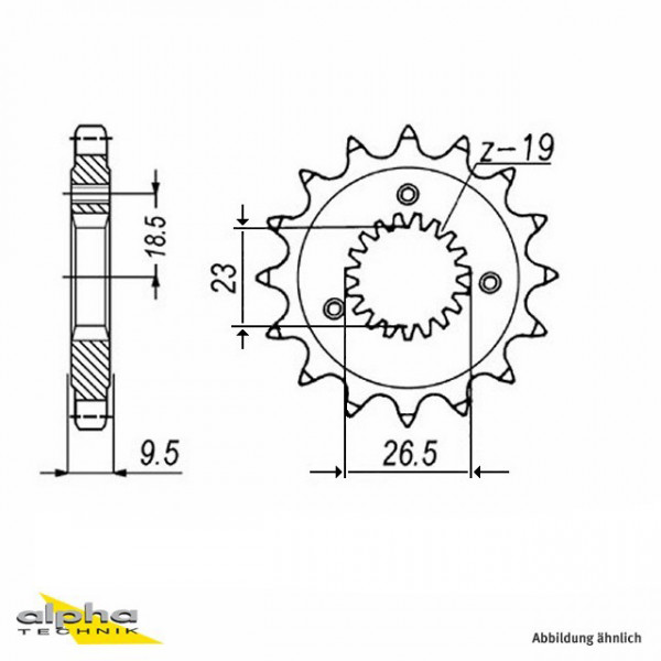 Ritzel 21 Zähne Teilung 530