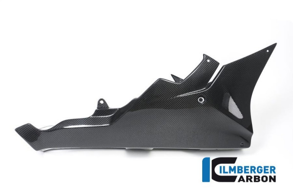 Ilmberger Carbon Verkleidung Unterteil passend für BMW S1000RR (ab 2017)