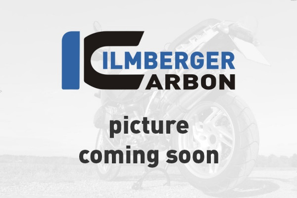 Ilmberger Carbon Standrohrcover links glanz