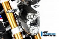 Lampenabdeckung Carbon passend für BMW R 1250 R (LC) ab 2019 Lampenabdeckung Carbon passend für BMW R 1250 R (LC) ab 2019
