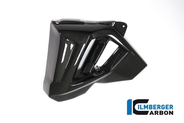 Ilmberger Carbon Wasserkühlerverkleidung links passend für BMW F800R