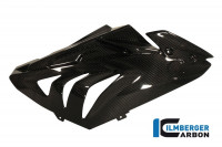 Ilmberger Carbon Verkleidungsseitenteil Racing 2012 passend für BMW S1000RR Ilmberger Carbon Verkleidungsseitenteil Racing 2012 passend für BMW S1000RR
