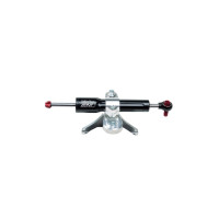 BITUBO Lenkungsdämpferkit passend für Kawasaki Ninja 400 ab 2018 BITUBO Lenkungsdämpferkit passend für Kawasaki Ninja 400 ab 2018