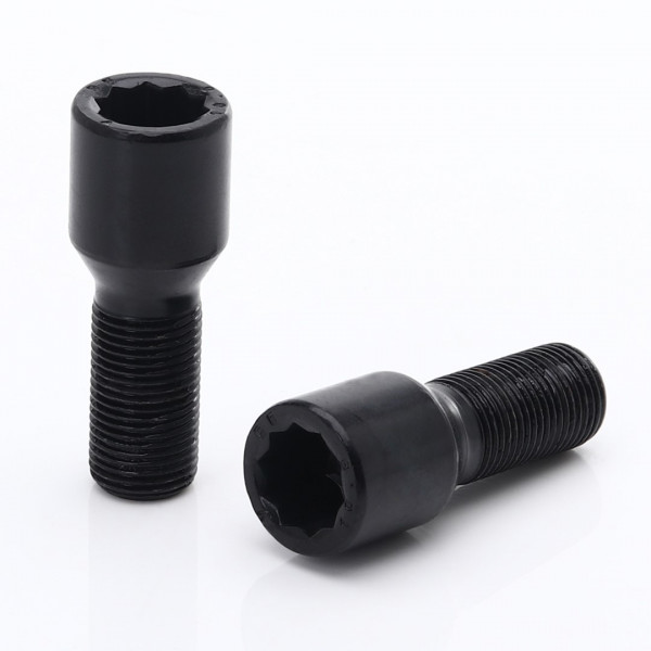 Satz 20 Kurze Schwarze Vielzahn-/Torx Radschrauben 12x1,5 + Werkzeug