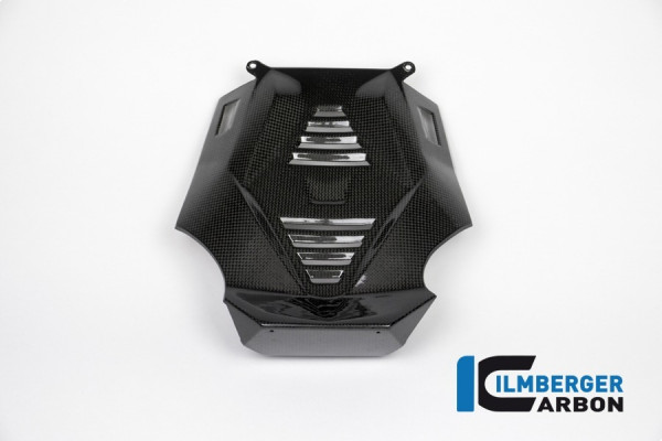 Ilmberger Carbon Motorspoiler Mittelteil passend für BMW R1200R & R1200RS