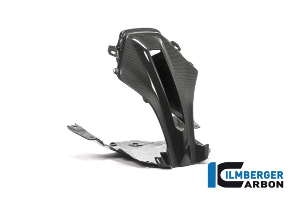 Ilmberger Carbon Verkleidungsmitterteil oben passend für BMW R1200RS (LC)