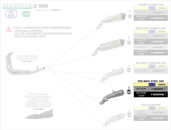 Arrow Pro Race Edelstahl Kawasaki Z 900/A2 17-22