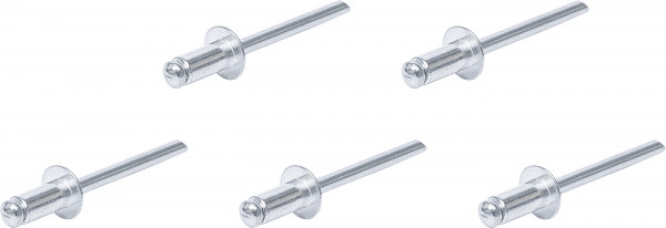 Blindnieten-Sortiment Ø 4,8 mm 50-tlg.