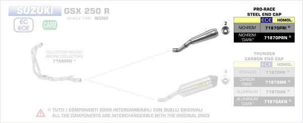 Arrow Pro-Race Edelstahl Schwarz SUZUKI GSX 250 R 17-20