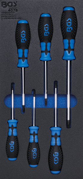 Werkstattwageneinlage 1/3: Schraubendreher T-Profil (für Torx) | 6-tlg.