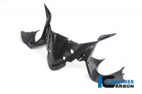 Ilmberger Carbon Instrumentenabdeckung glanz Carbon passend für Ducati Panigale 1299 Ilmberger Carbon Instrumentenabdeckung glanz Carbon passend für Ducati Panigale 1299