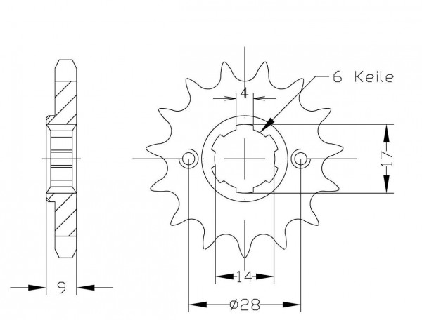 Ritzel 13 Zähne Teilung 428