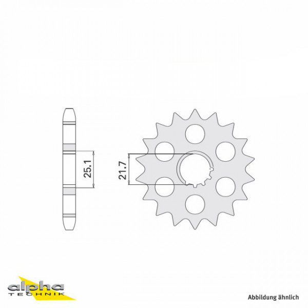 Ritzel 17 Zähne Teilung 530