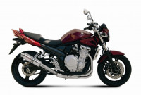 Storm by MIVV GP Endschalldämpfer passend für Suzuki GSF 650 Bandit & GSX 650 F Storm by MIVV GP Endschalldämpfer passend für Suzuki GSF 650 Bandit & GSX 650 F