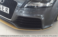 Rieger Spoilerschwert seitlich links passend für Audi TT RS (8J) Roadster ab 09/2009 Rieger Spoilerschwert seitlich links passend für Audi TT RS (8J) Roadster ab 09/2009