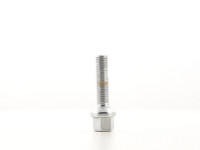 Radschrauben Set (10 Stk.) Kugelbund chrom M12x1,5 – Schaftlänge 35mm Radschrauben Set (10 Stk.) Kugelbund chrom M12x1,5 – Schaftlänge 35mm