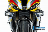 Ilmberger Carbon Wingletnachrüstkit aus Carbon passend für BMW S1000RR ab 2019 und M1000RR ab 2021 Ilmberger Carbon Wingletnachrüstkit aus Carbon passend für BMW S1000RR ab 2019 und M1000RR ab 2021