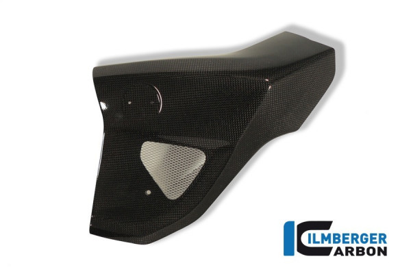 Ilmberger Carbon Wasserkühlerverkleidung links passend für BMW F800R