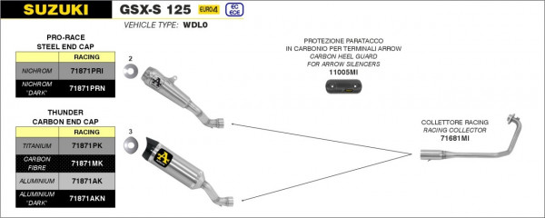 Arrow Pro-Race Edelstahl Schwarz SUZUKI GSX-S 125 '17-20