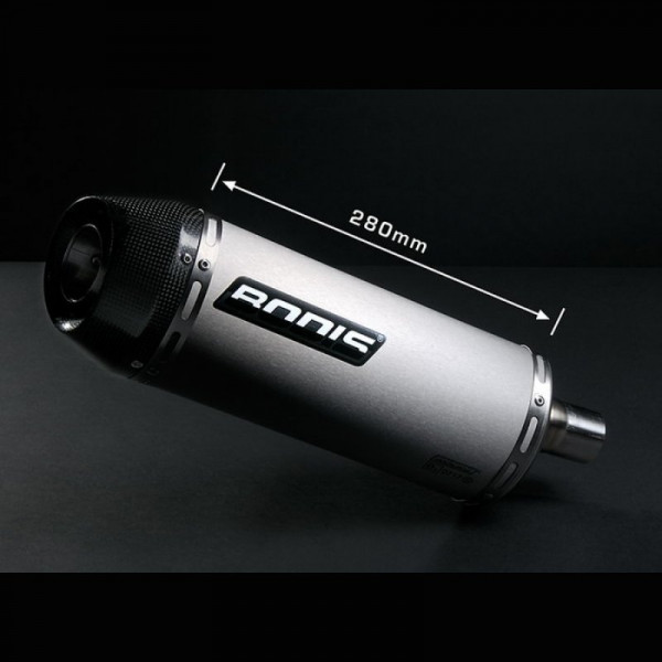 Bodis Oval Tec Auspuff passend für Triumph Speed Triple 2005-2010