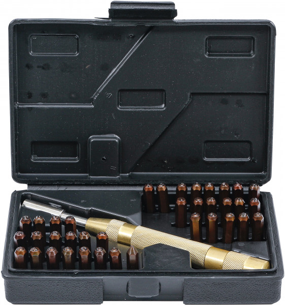 Schlagstempel-Satz 36-in-1 mit automatischem Schlagstift