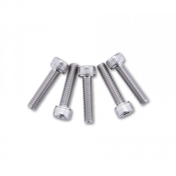 SHIN YO Ersatzschrauben M4 passend für HIGHSIDER EVO Lenkerendenspiegel