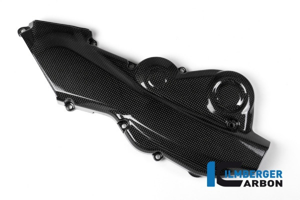 Ilmberger Carbon Zahnriemenabdeckung horizontal glanz Carbon