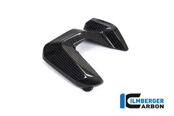 Ilmberger Carbon Zündkerzenstecker Abdeckung rechts Carbon für BMW R1250GS R1250R R1250RS ab 2019-