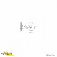 Ritzel 14 Zähne Teilung 428 passend für Yamaha & Beta Ritzel 14 Zähne Teilung 428 passend für Yamaha & Beta