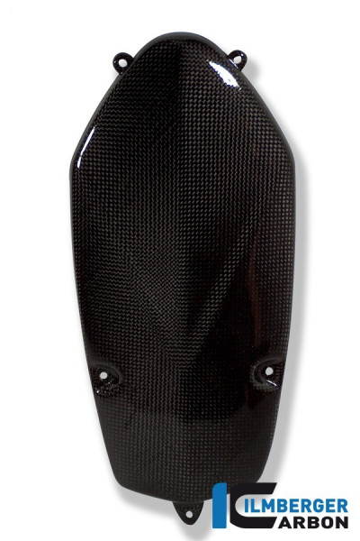 Ilmberger Carbon Lichtmaschinendeckel passend für BMW R1200GS