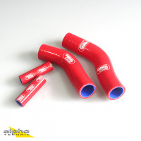 SAMCO SPORT Siliconschlauch Kit rot passend für BMW F800R 2009-2018 SAMCO SPORT Siliconschlauch Kit rot passend für BMW F800R 2009-2018