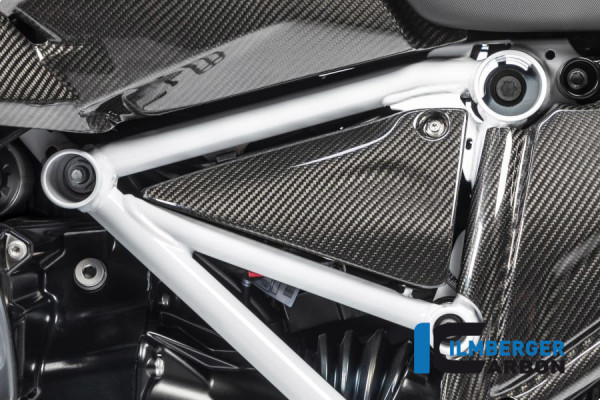 Rahmendreieckcover links Carbon für BMW R1250R (LC) ab 2019