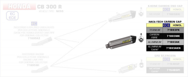 Arrow Race-Tech Endschalldämpfer Aluminium schwarz passend für Honda CB 300 R
