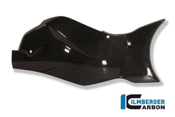 Ilmberger Carbon Schwingenabdeckung / Kettenschutz passend für Honda CB1000R