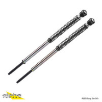 BITUBO JBH Gabeldämpfer-Kit passend für Ducati Streetfighter 1098 2009-2012 BITUBO JBH Gabeldämpfer-Kit passend für Ducati Streetfighter 1098 2009-2012