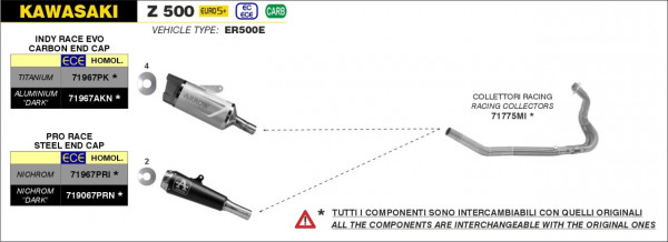 ARROW Pro-Race Edelstahl KAWASAKI Z 500 2024